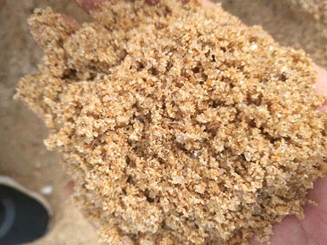 如何填补建筑砂石缺口？机制砂成为了救命稻草